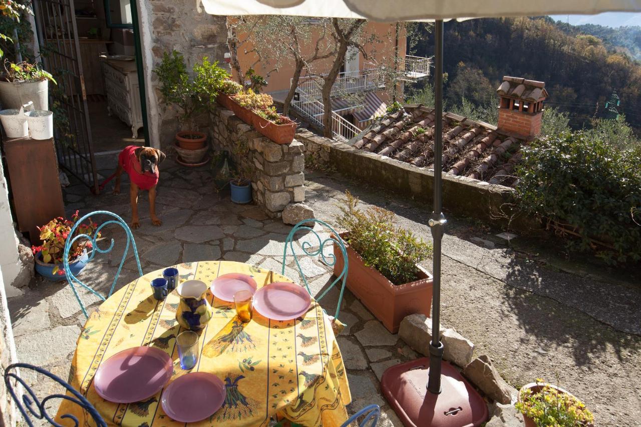 Chezcatherine Villa Sarzana Bagian luar foto